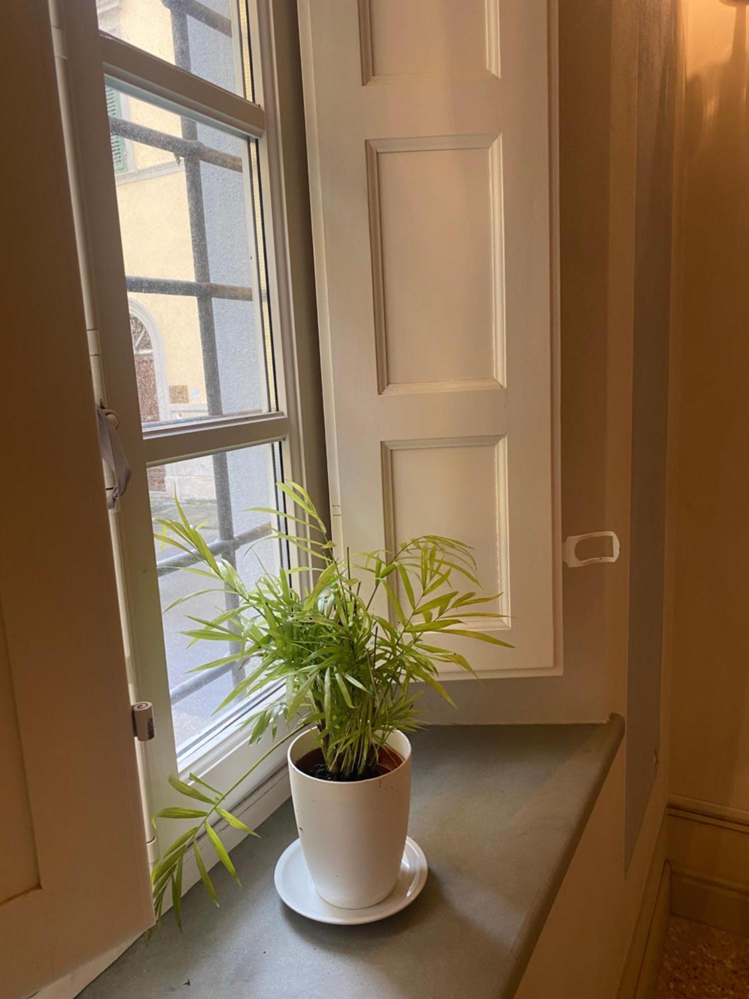 Casa Dei Cherubini Lucca Dış mekan fotoğraf